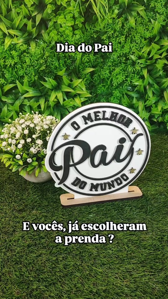 TikTok: placa O Melhor Pai do Mundo